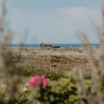 アパート Ehemals Walter's Hof - Sylt
